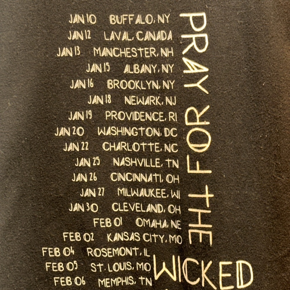PANIC AT THE DISCO Pray For The Wicked Short Sleeve Concert Tour T-Shirt MED - Picture 5 of 6